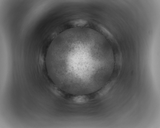 X0000113890761200909241417
