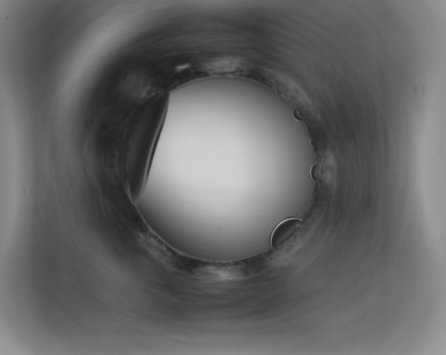 X0000113890763200909241417