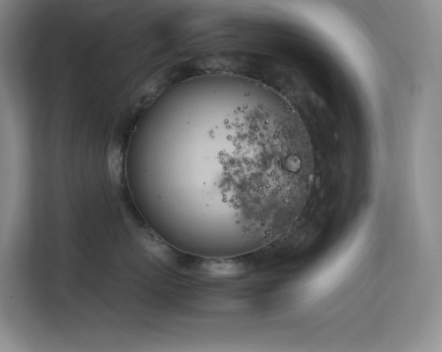 X0000113890767200909241417