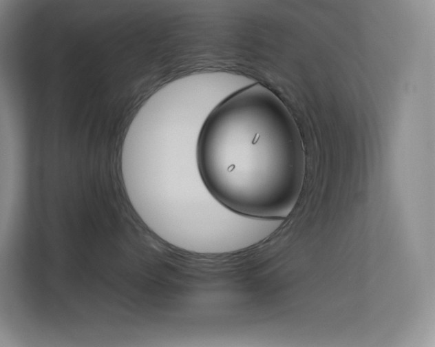 X0000113890768200909241417
