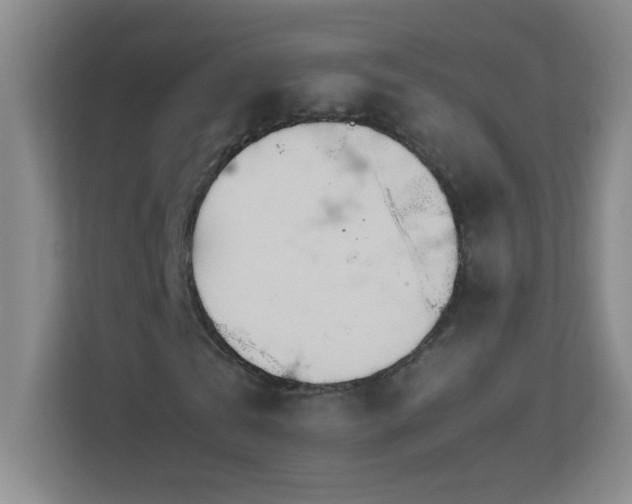 X0000113890769200909241416
