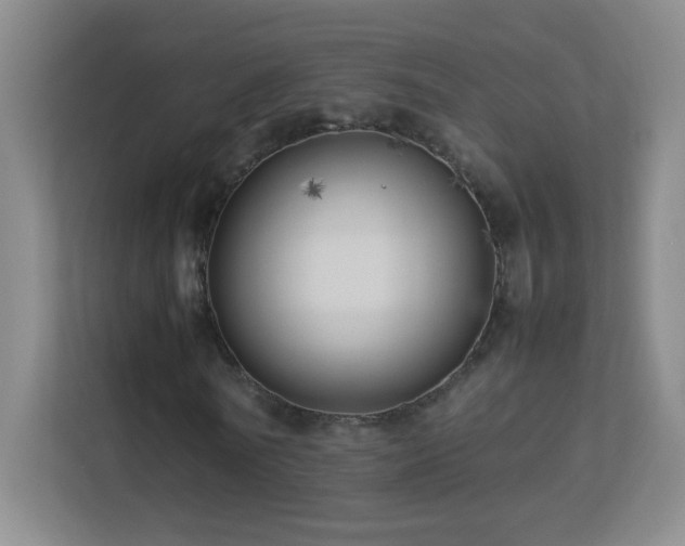 X0000113890770200909241416