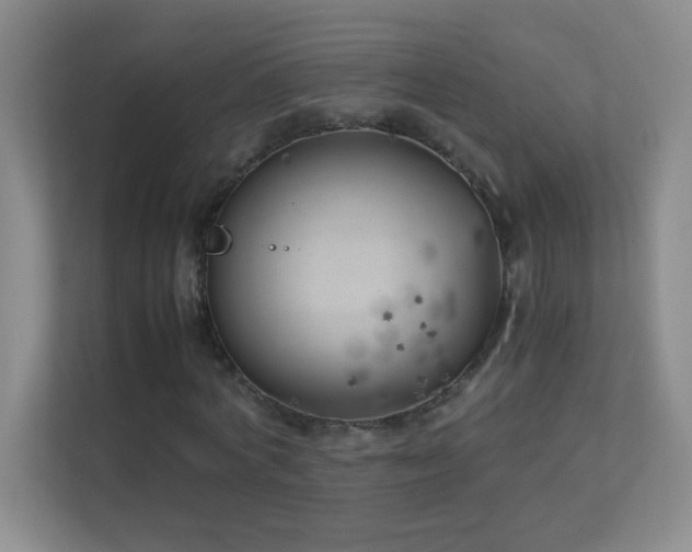 X0000113890772200909241416