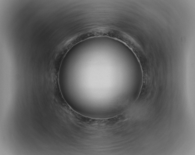 X0000113890773200909241416