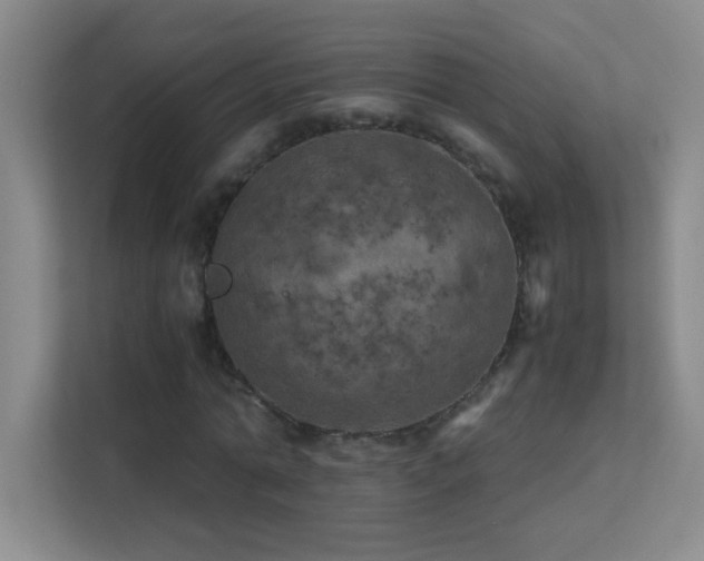 X0000113890774200909241416