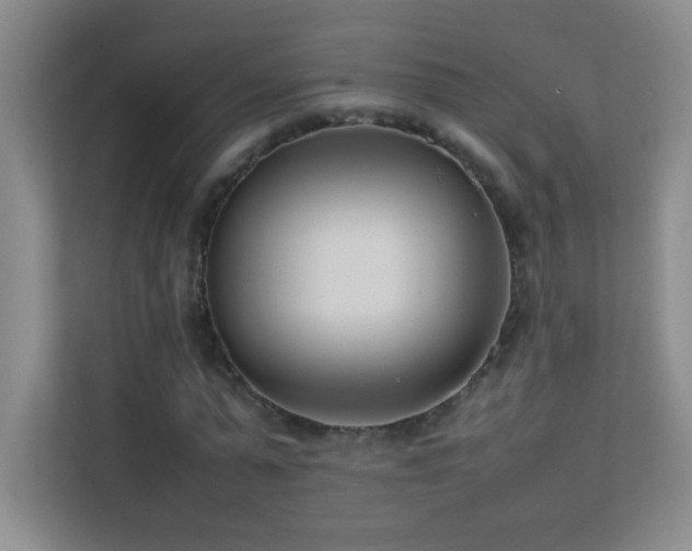 X0000113890775200909241416