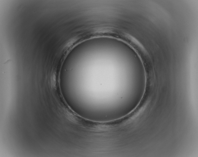 X0000113890777200909241416