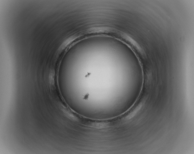 X0000113890778200909241416