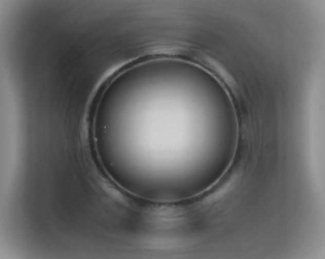 X0000113890779200909241416