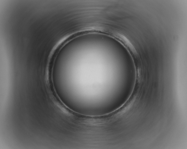 X0000113890780200909241416