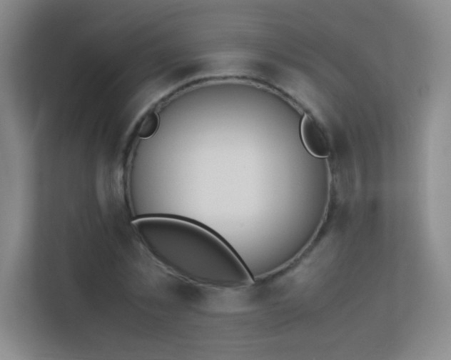 X0000113890781200909241416