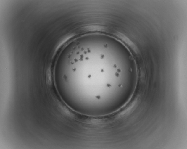 X0000113890782200909241416