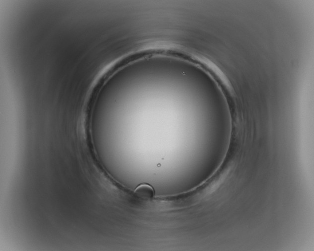 X0000113890783200909241416