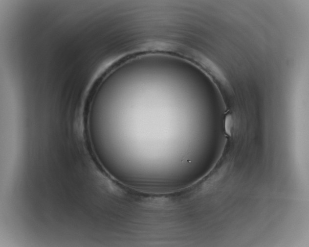 X0000113890784200909241416