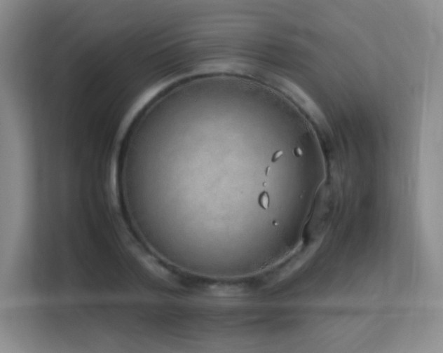 X0000113890788200909241416