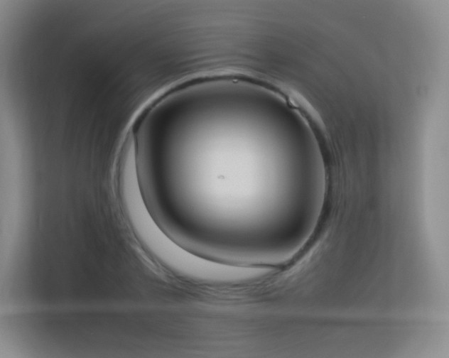 X0000113890789200909241416
