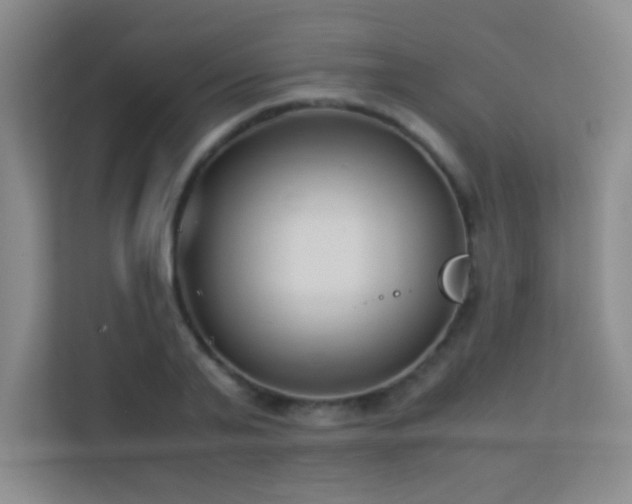 X0000113890791200909241416