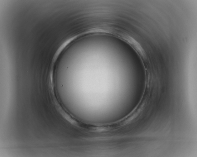 X0000113890796200909241416