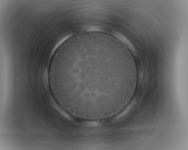 X0000113890798200909241416