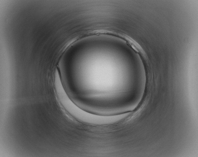 X0000113890801200909241416