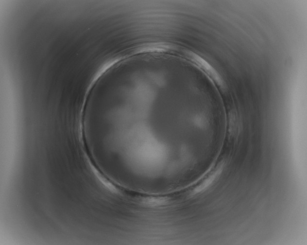 X0000113890802200909241416