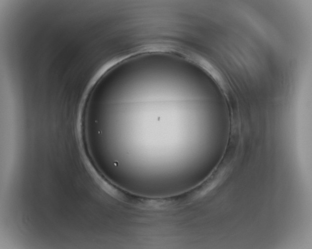 X0000113890803200909241416