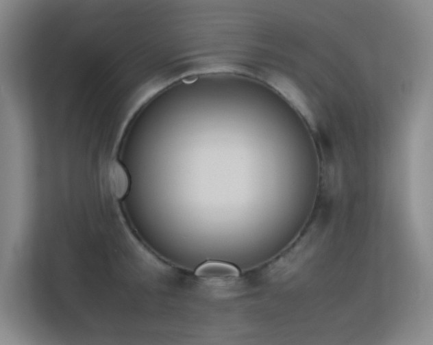 X0000113890805200909241416
