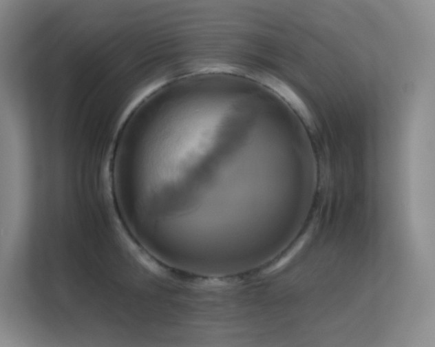 X0000113890806200909241416