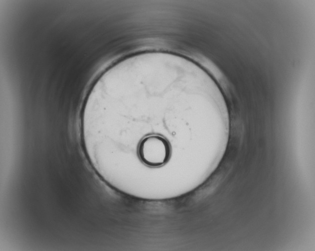 X0000113890807200909241416