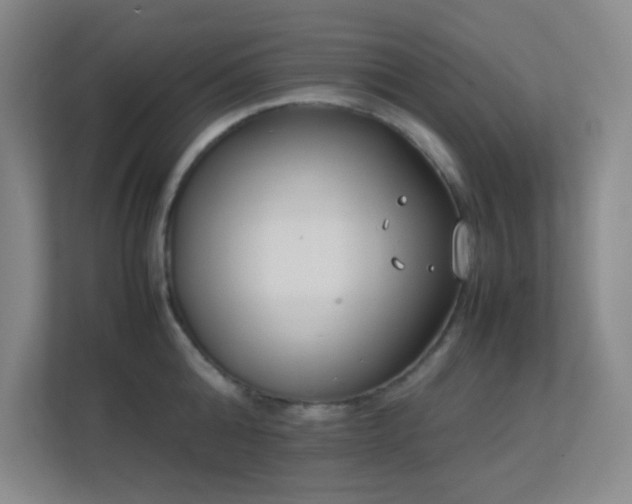 X0000113890808200909241416