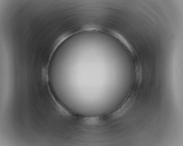 X0000113890810200909241416
