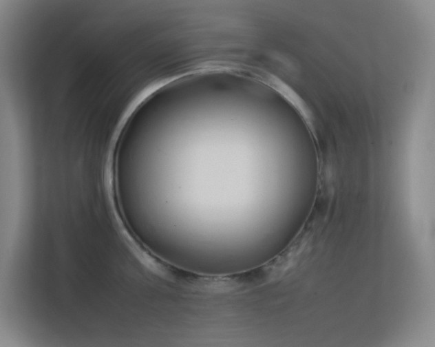 X0000113890811200909241416