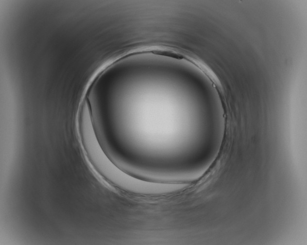 X0000113890813200909241416