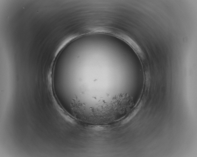 X0000113890814200909241416