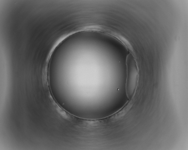 X0000113890816200909241416