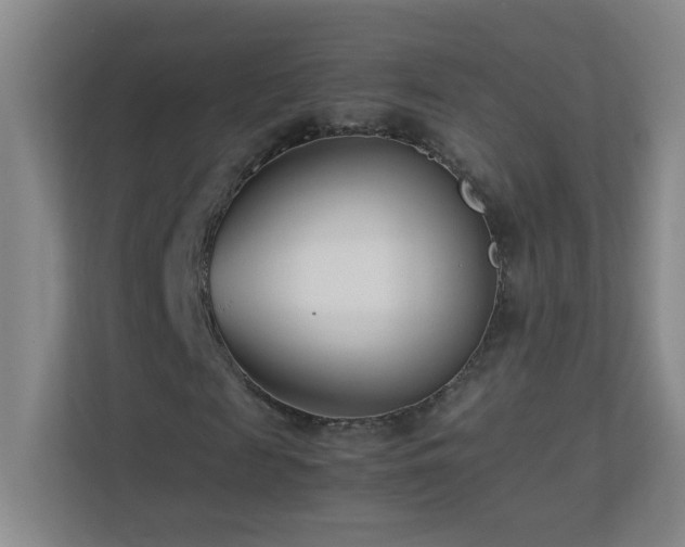 X0000113890817200909241415