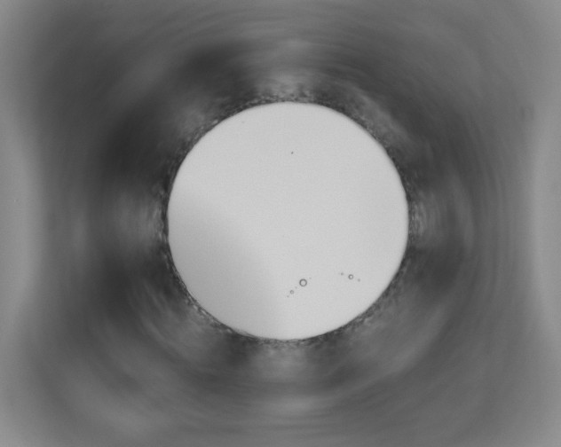 X0000113890820200909241415