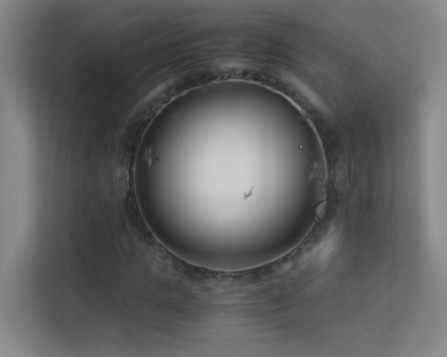 X0000113890821200909241415
