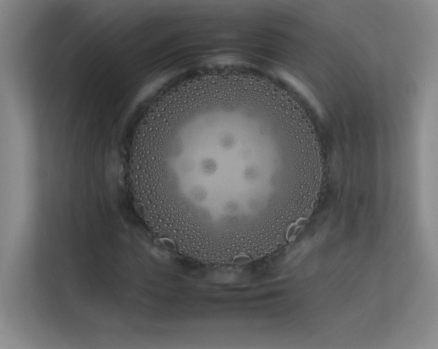 X0000113890823200909241415