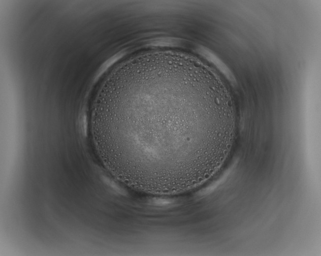 X0000113890829200909241415