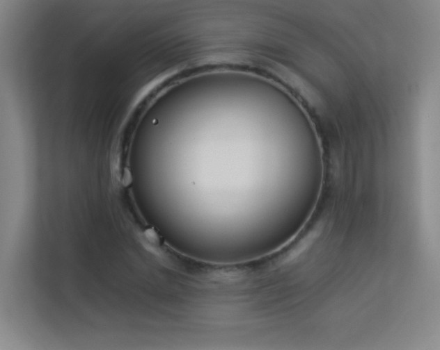 X0000113890830200909241415