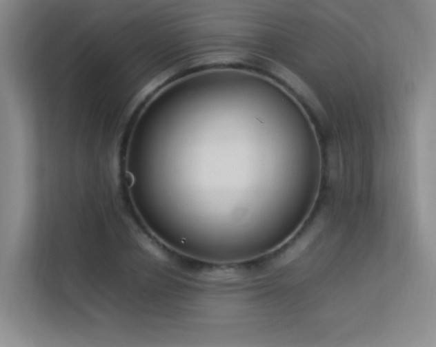 X0000113890834200909241415