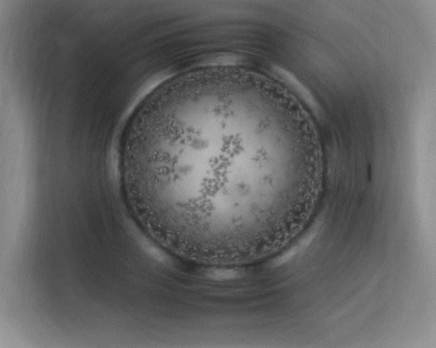 X0000113890835200909241415