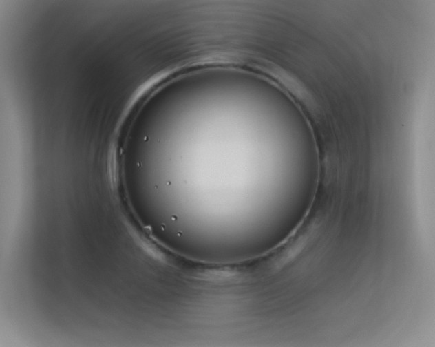 X0000113890838200909241415