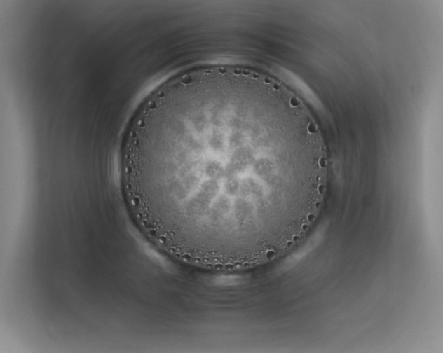 X0000113890839200909241415