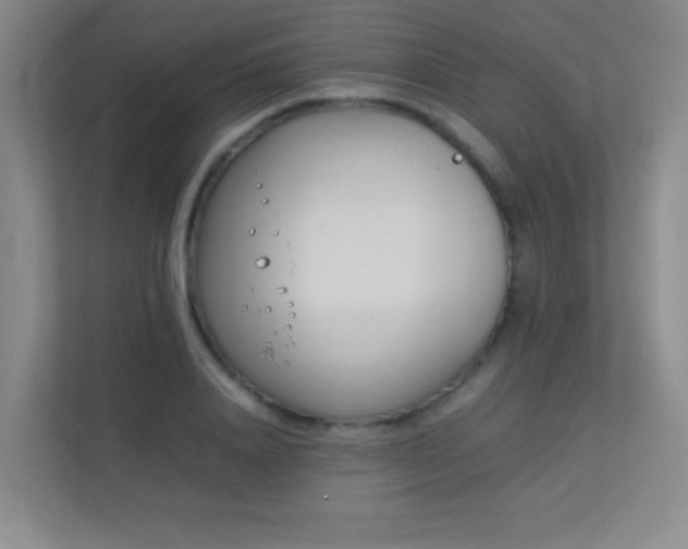 X0000113890840200909241415