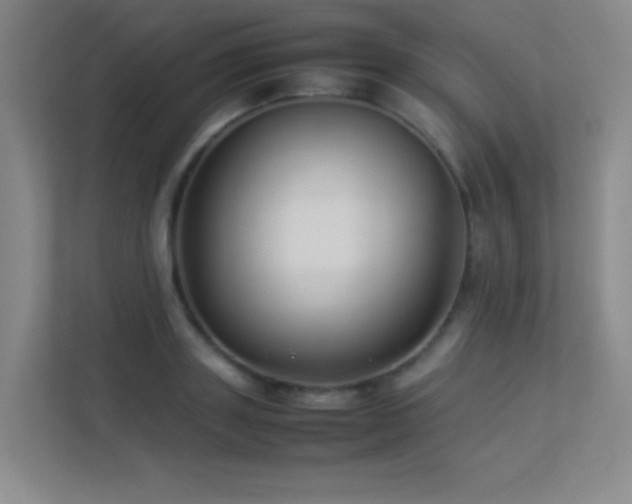 X0000113890843200909241415