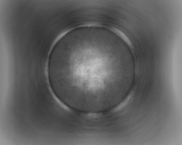 X0000113890847200909241415