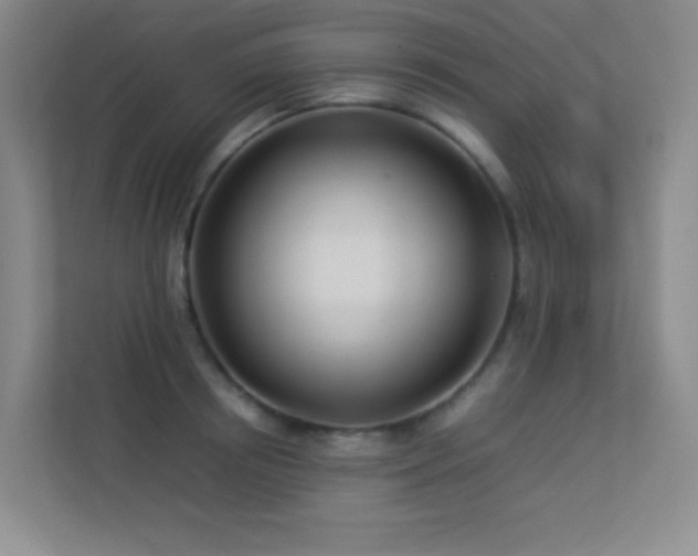 X0000113890850200909241415