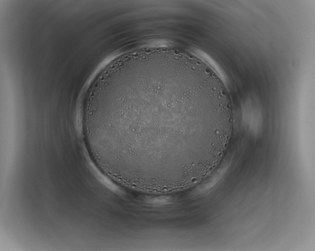 X0000113890851200909241415